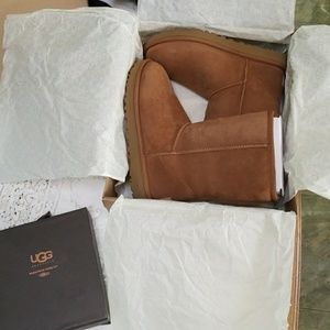 Classic short Uggs